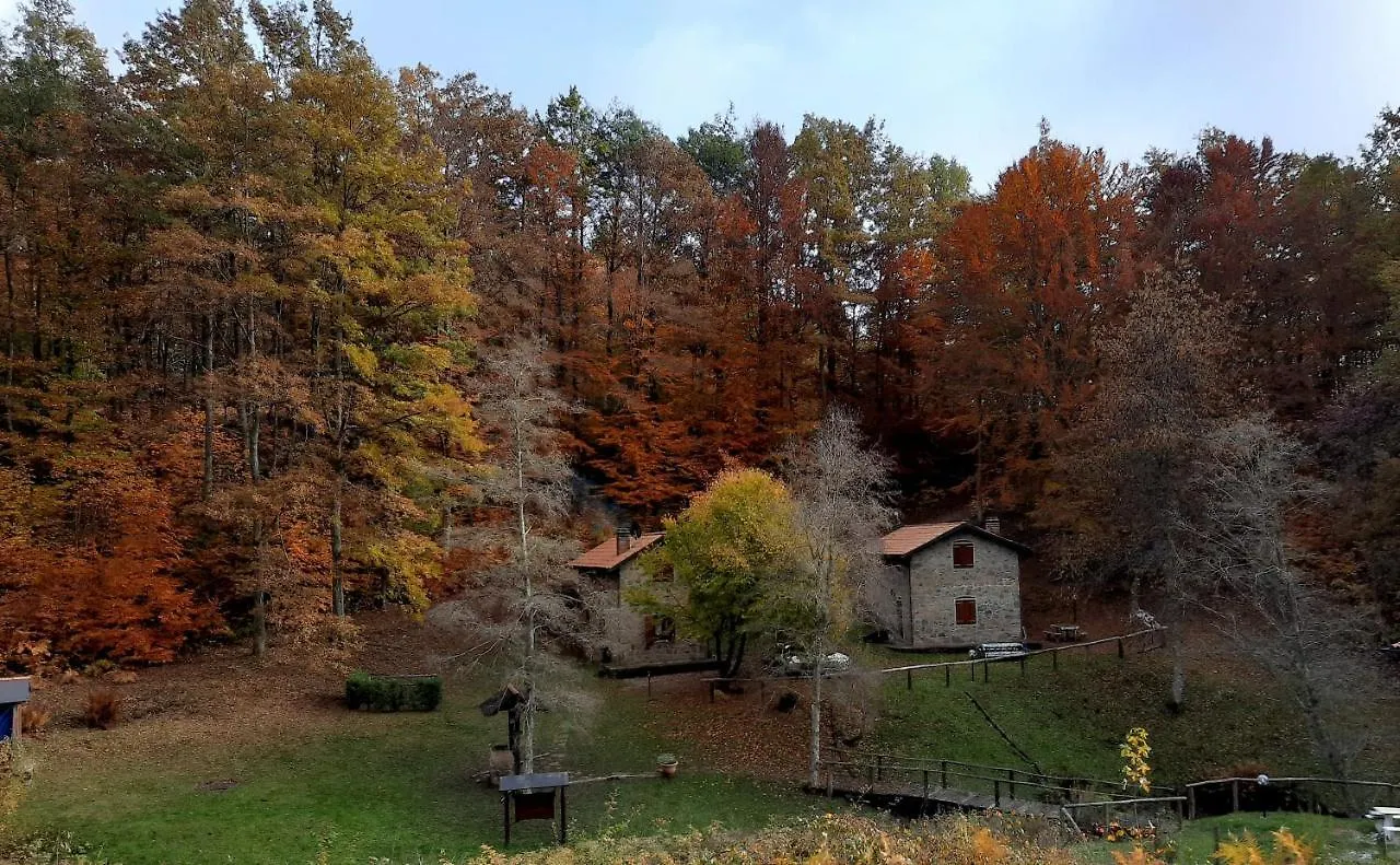 Agriturismo il canale Corfino
